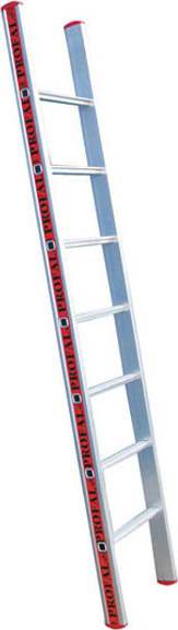 Dimopanas - LADDER PROFAL SINGLE 2.5m 800109